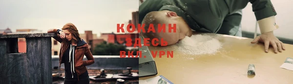 скорость Алзамай