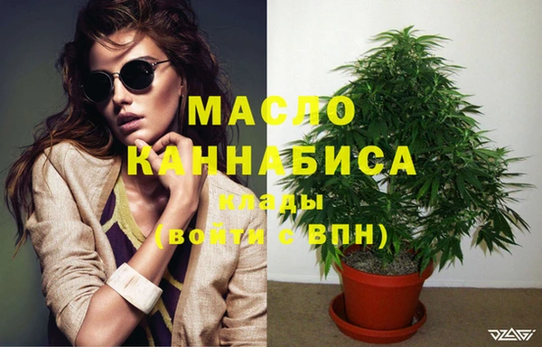 твердый Мегион