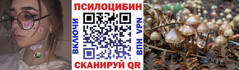 Галлюциногенные грибы GOLDEN TEACHER  цены наркотик  Берёзовка 